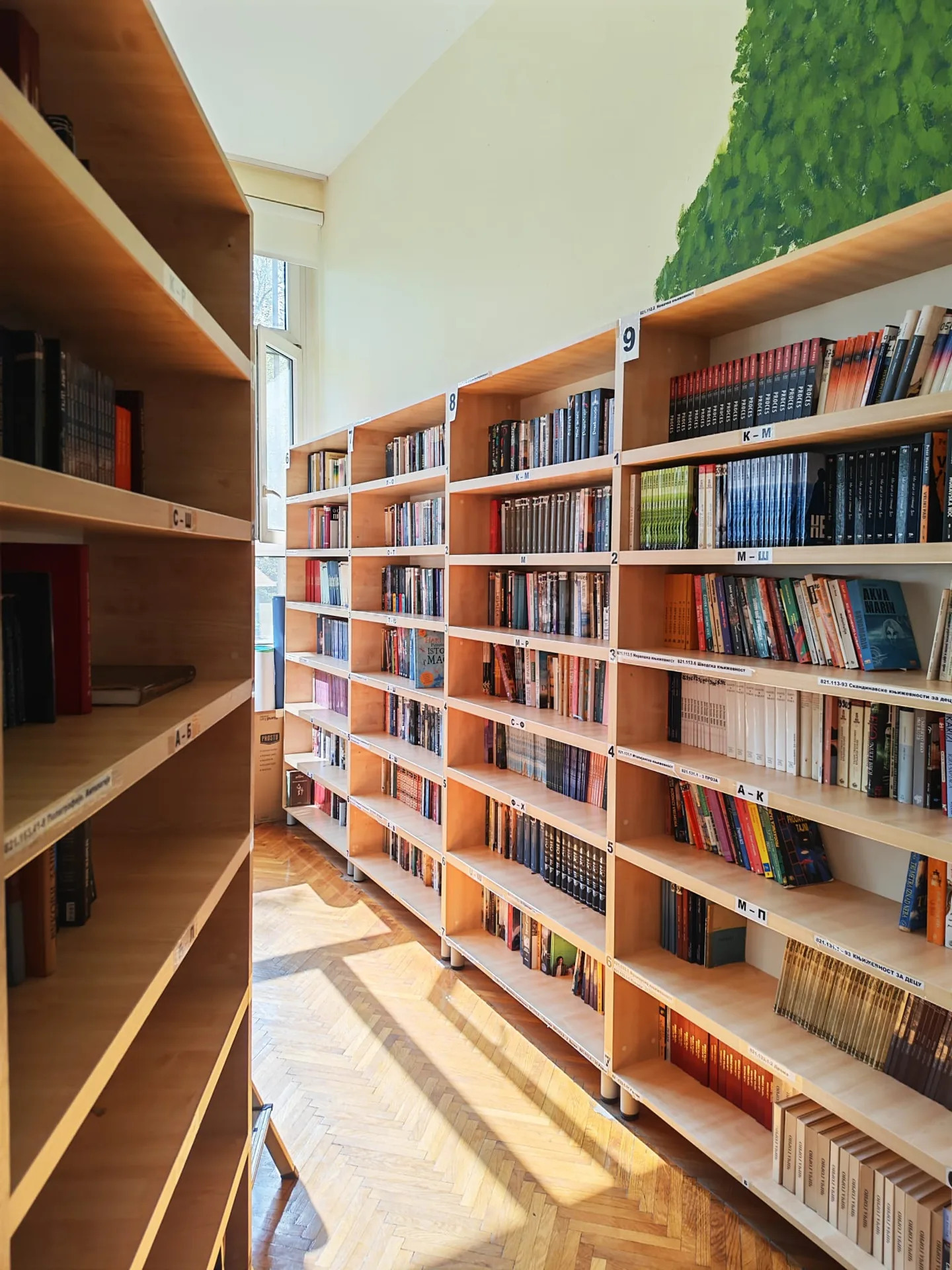 Дрвене полице библиотеке обасјане природним светлом