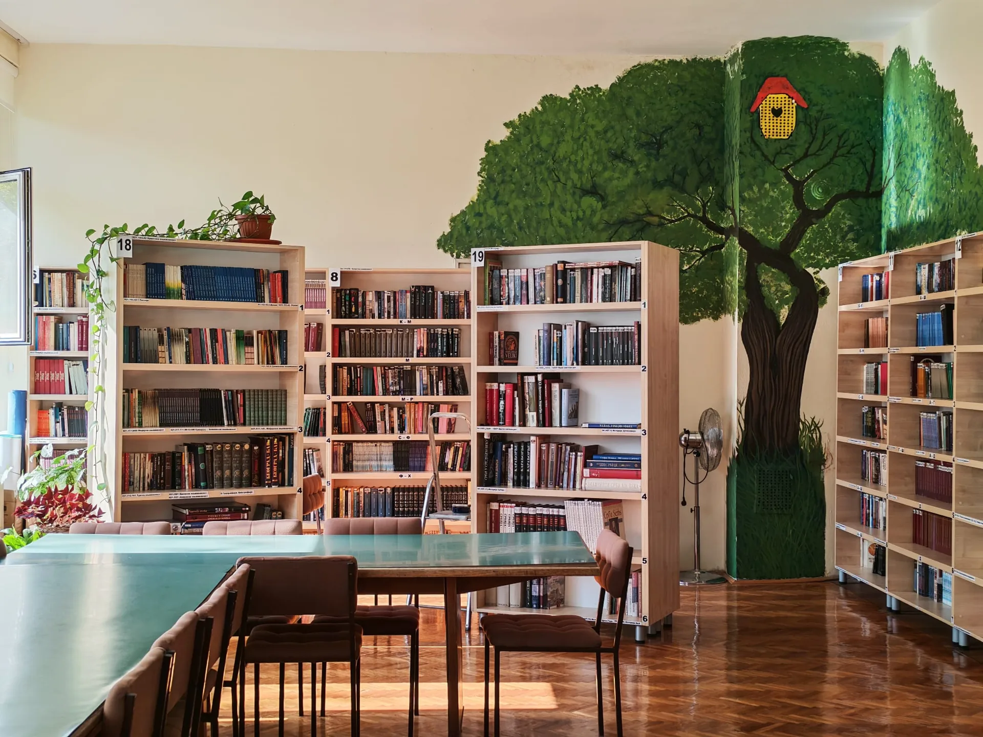 Осликано дрво са кућицом за птице у школској библиотеци