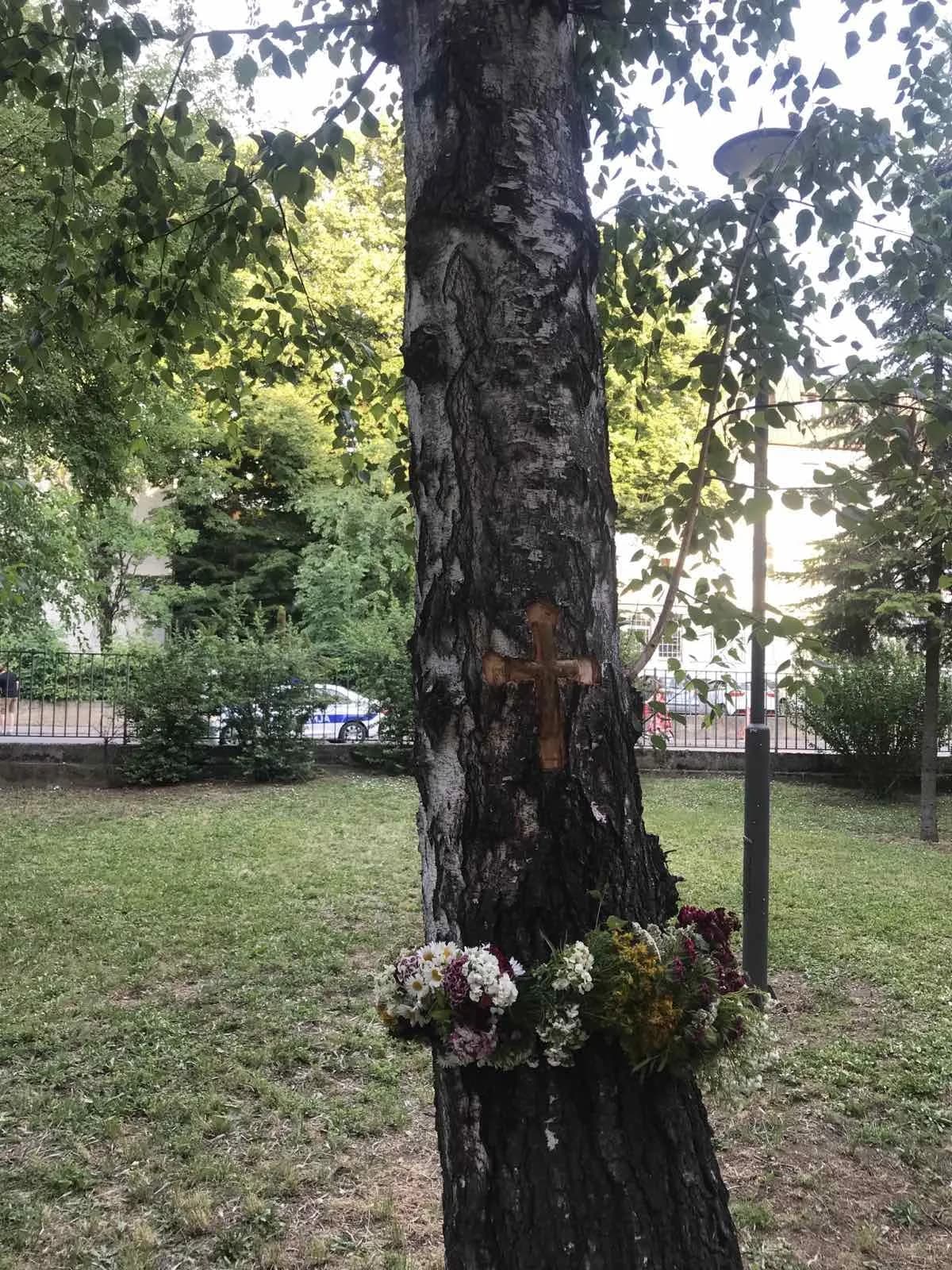 Запис у дворишту школе -- дрво са урезаним крстом и венцима цвећа
